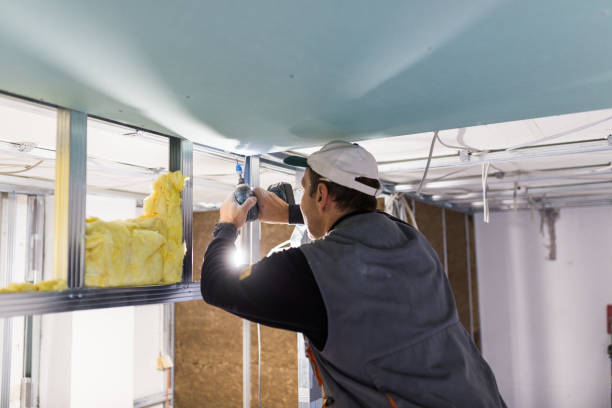 Best Insulation Repair Services  in Savannah, MO
