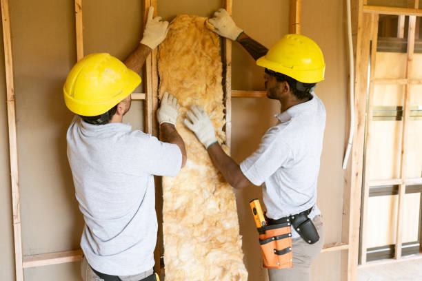 Best Spray Foam Insulation  in Savannah, MO