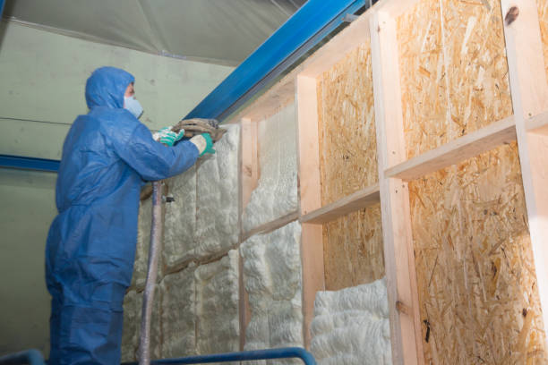 Best Spray Foam Insulation  in Savannah, MO