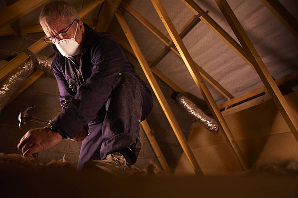 Best Professional Insulation Contractor  in Savannah, MO